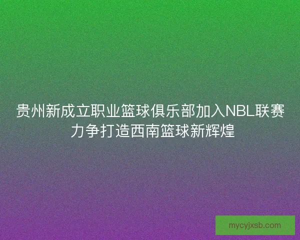 贵州新成立职业篮球俱乐部加入NBL联赛 力争打造西南篮球新辉煌